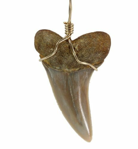 Fossil Mako Tooth Necklace - Bakersfield, California #95259